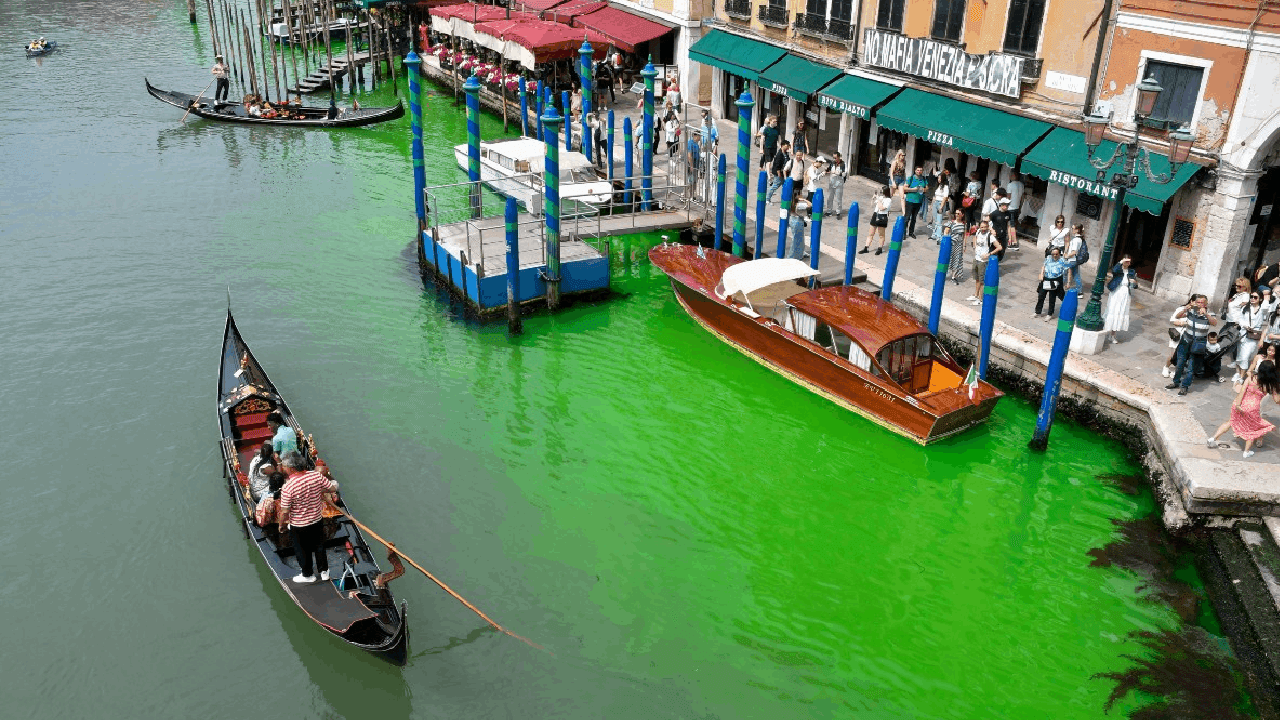 El Gran Canal de Venecia despertó  con un tono verde fosforescente  impregnando sus aguas