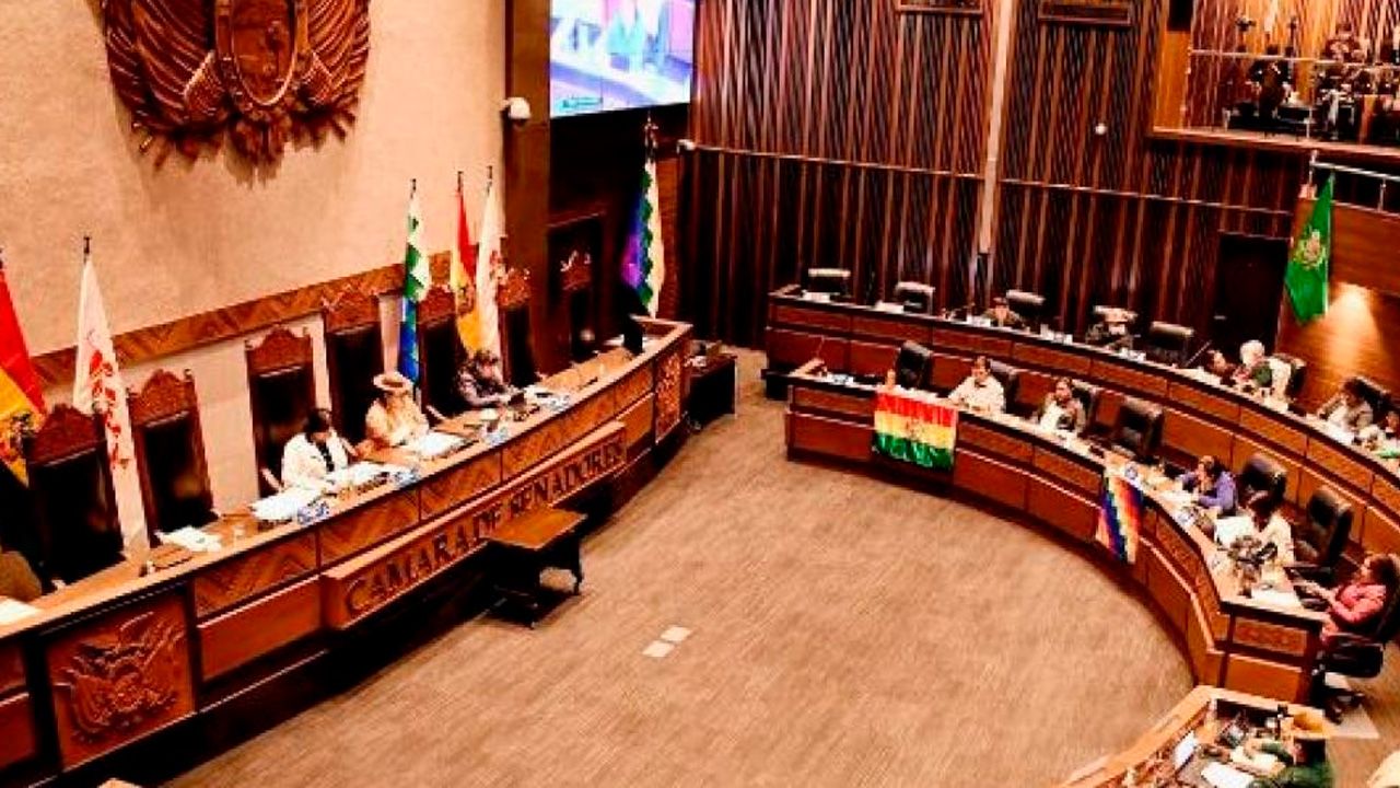 La Cámara de Senadores aprueba ley para blindar las elecciones judiciales