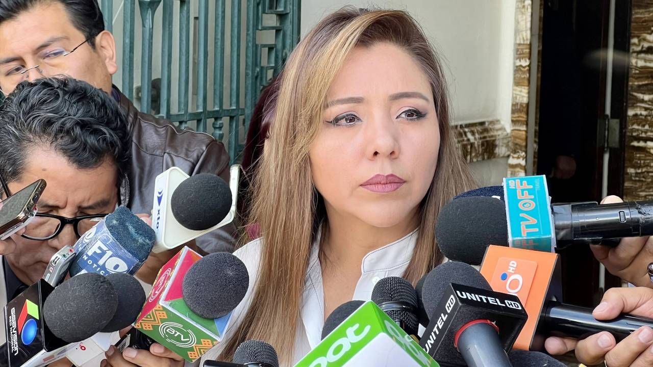 Alcón afirma que el MAS primero construirá el nuevo plan de gobierno y después definirá las candidaturas