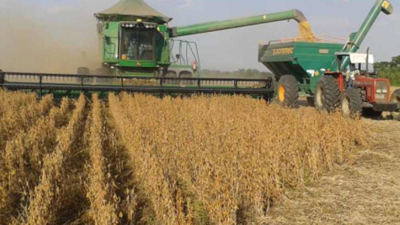 Arce instruye abrir una línea de crédito para financiar la producción de soya