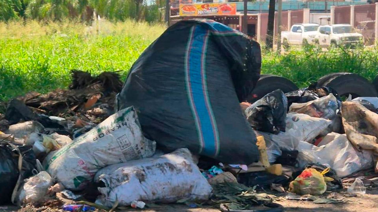 Calles y parques de Santa Cruz en caos por basura y maleza a pocos días del año nuevo