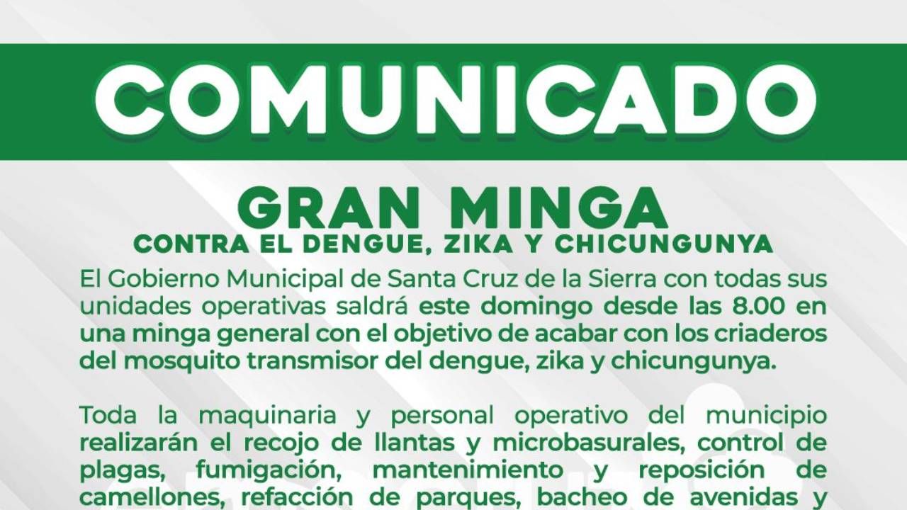 Gran minga municipal contra el dengue en Santa Cruz este domingo