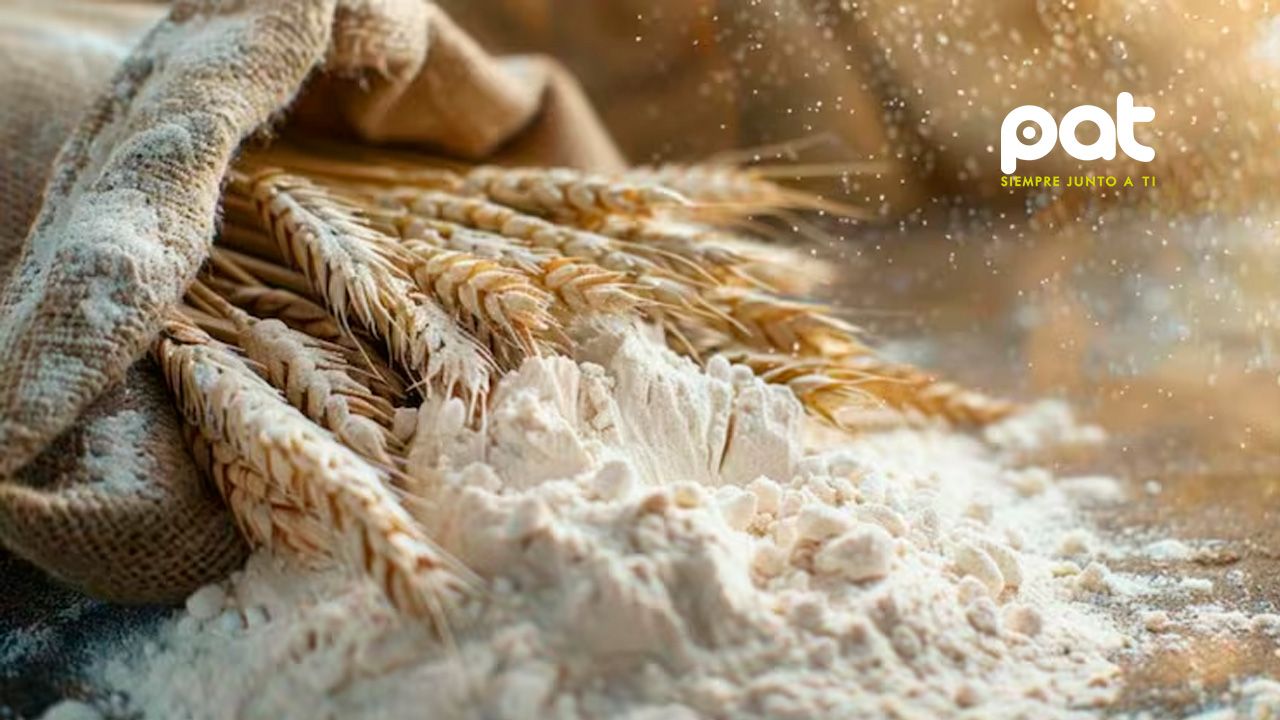 ¿Qué pasa en el cuerpo si no se consume harina refinada por un mes?