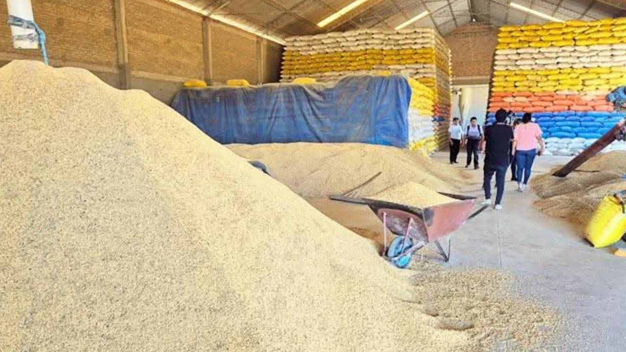 El 71% del arroz que consume el país proviene de Santa Cruz