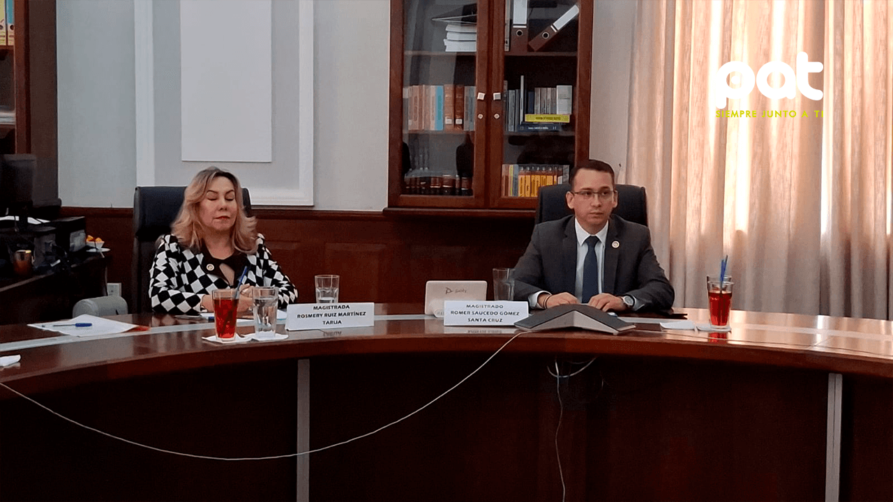  Romer Saucedo, Nuevo Presidente del Tribunal supremo de justicia