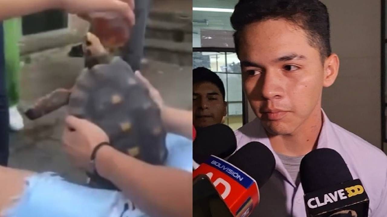 Joven sentenciado a dos años de prisión por maltrato a tortuga que quedó con lesiones oculares
