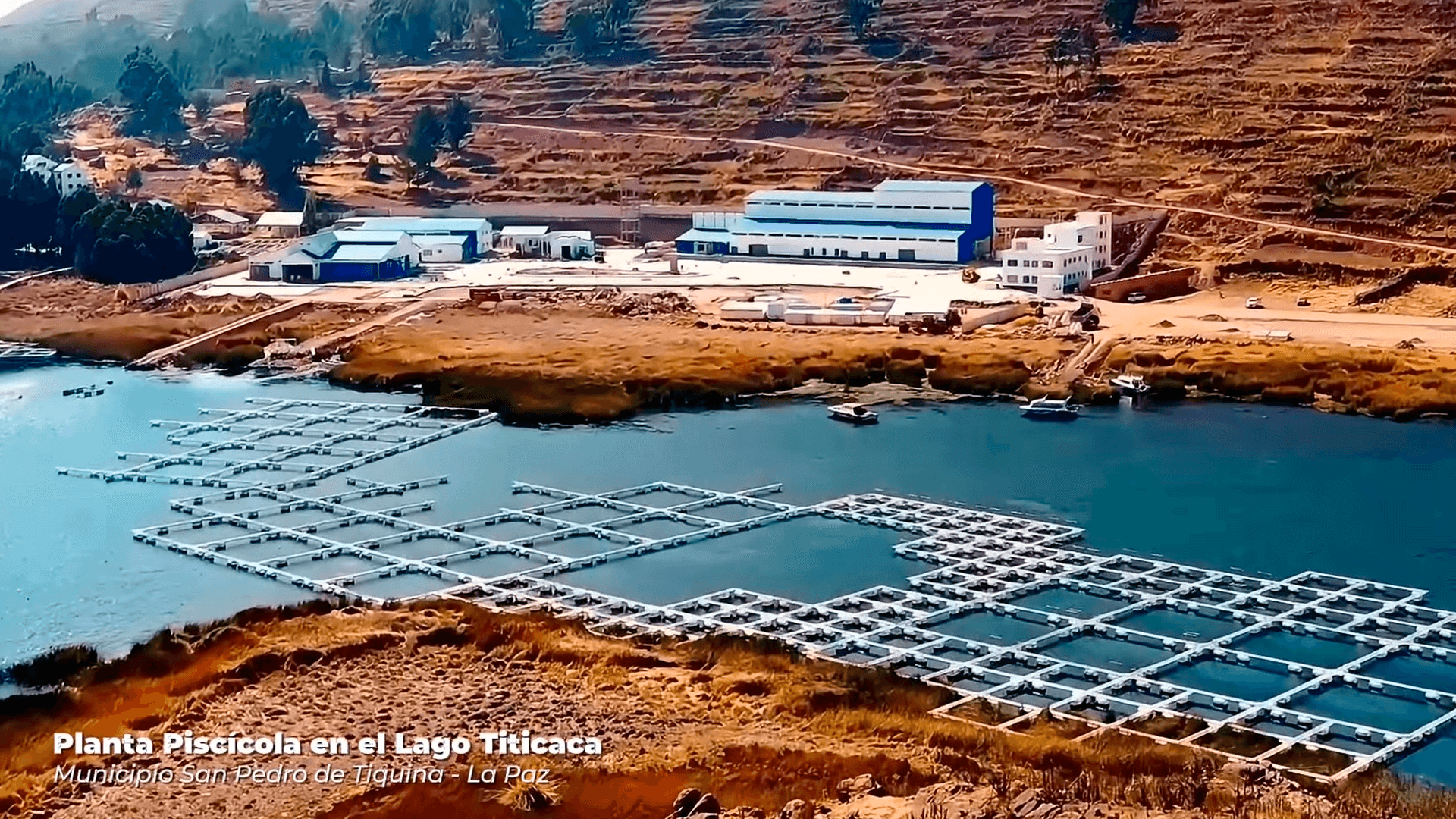 Planta piscícola en el lago Titicaca alcanza el 90% de avance 