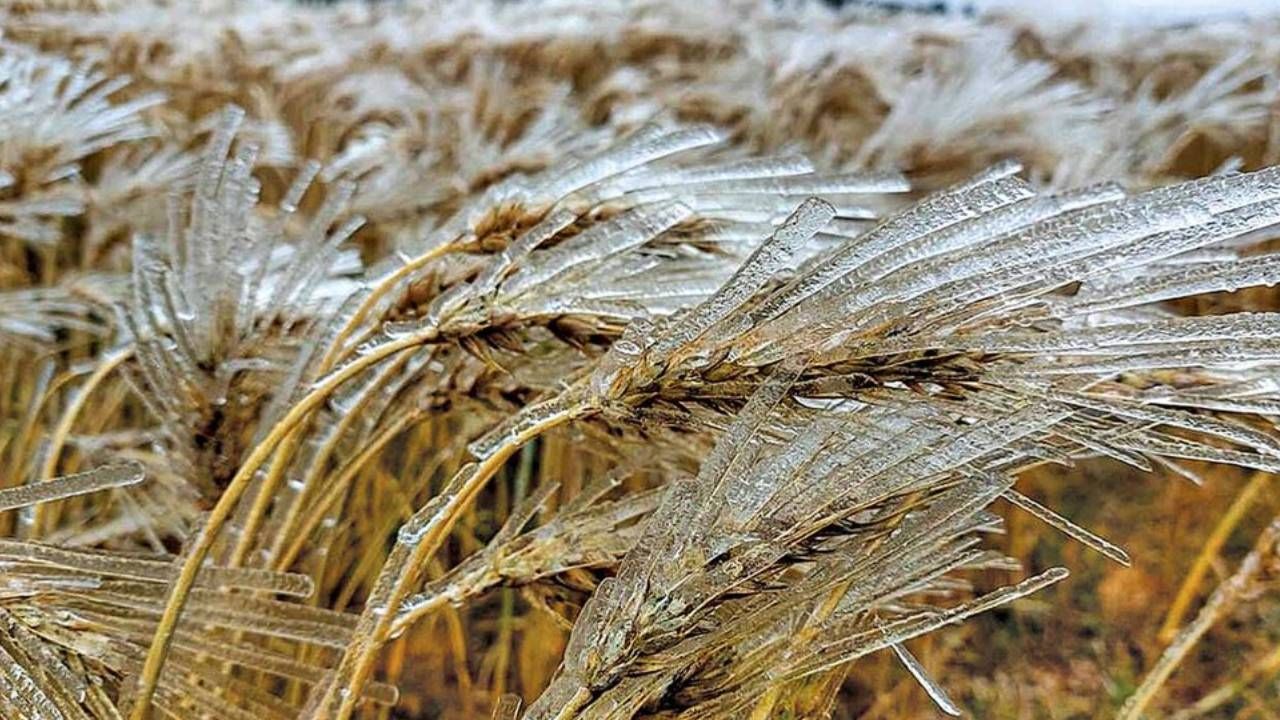 Senamhi activa alerta naranja por posibles heladas en La Paz, Oruro y Potosí
