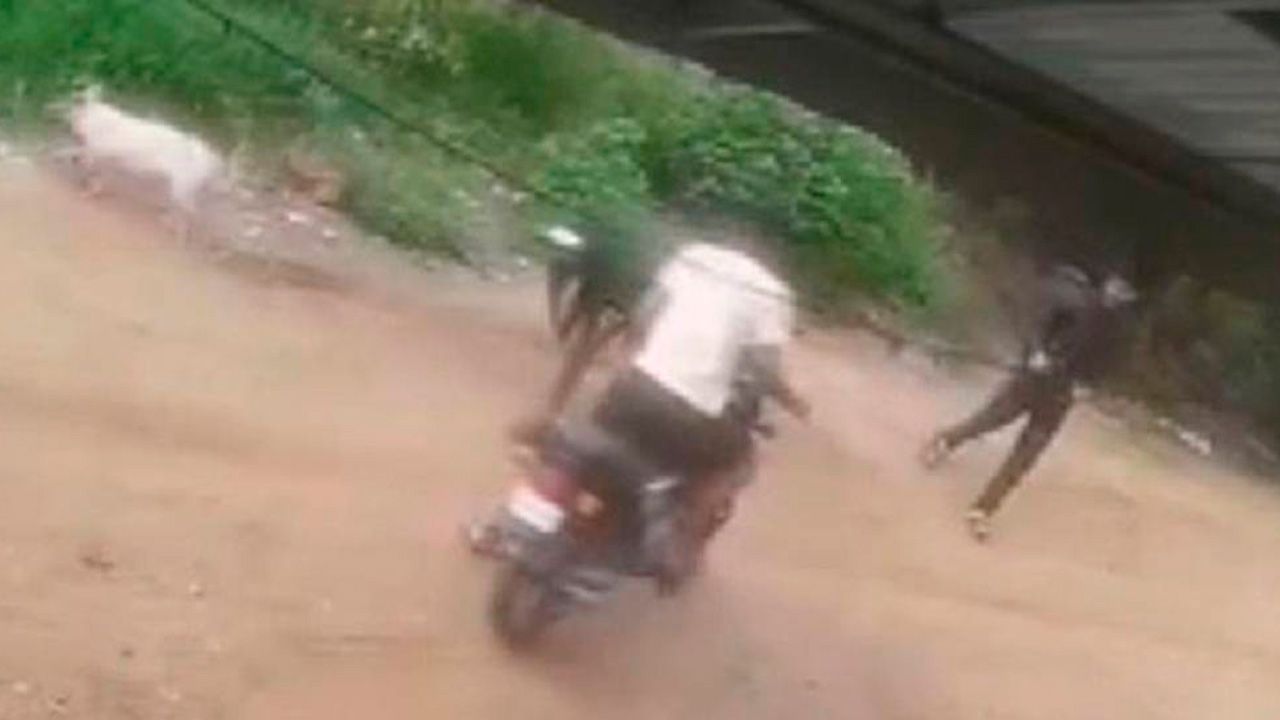 Tres hombres en moto intentaron robar cerdos en Montero