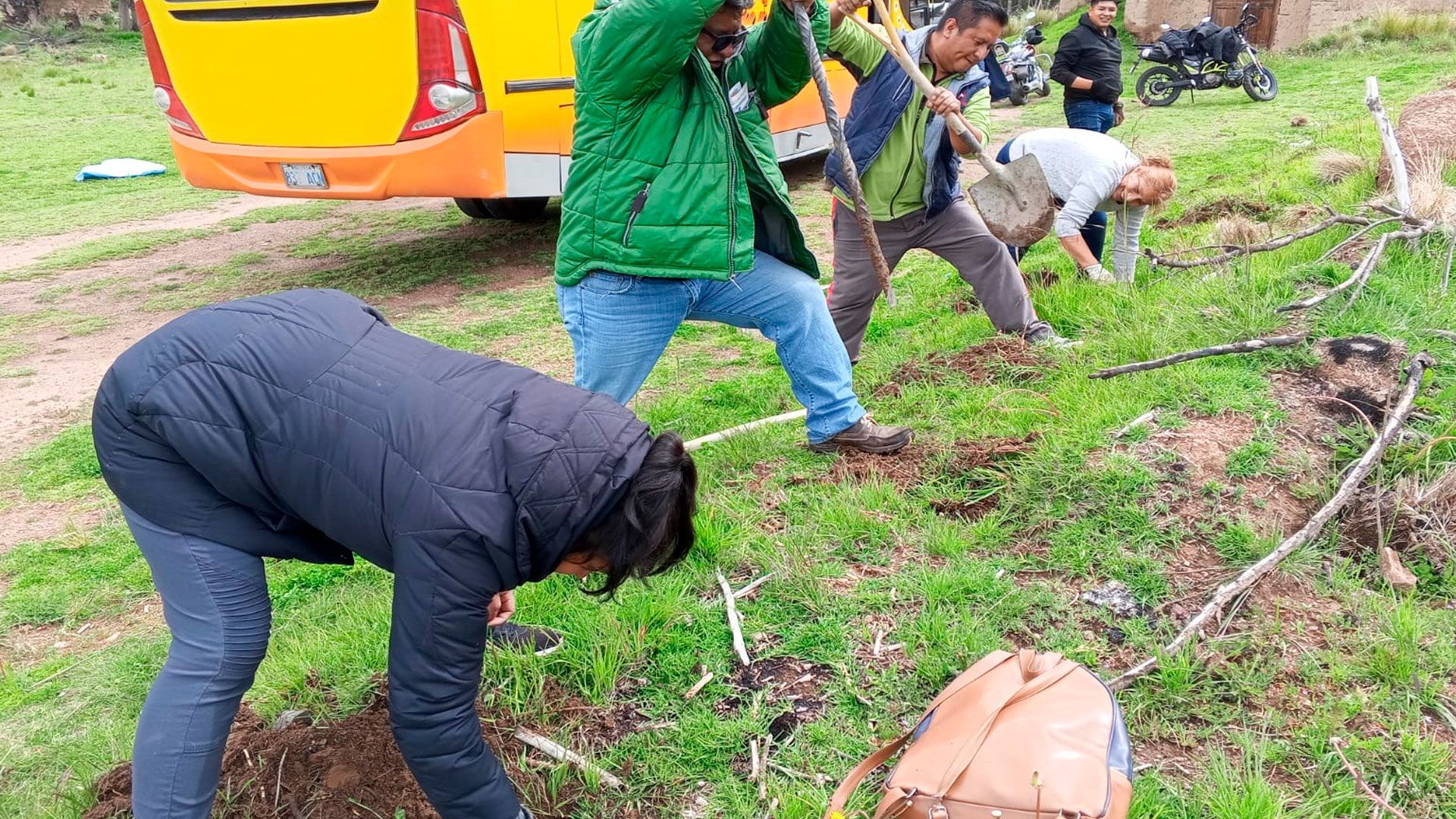 Insumos Bolivia siembra 100 árboles y refuerza el compromiso con la Madre Tierra
