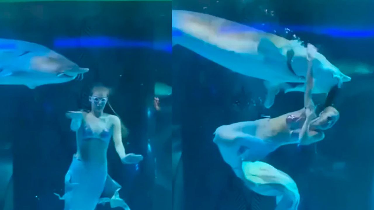 Mujer vestida de sirena es mordida por un pez gigante durante show en China