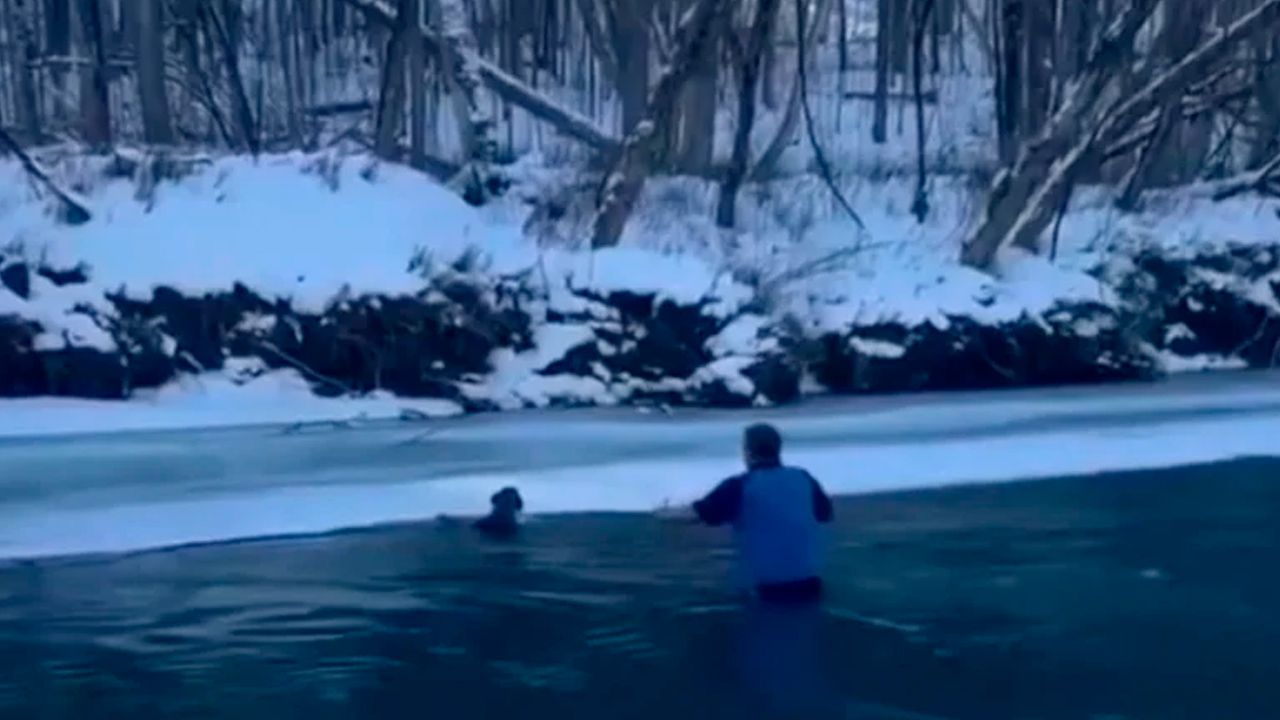 Un hombre arriesga su vida para salvar a su perro del río congelado