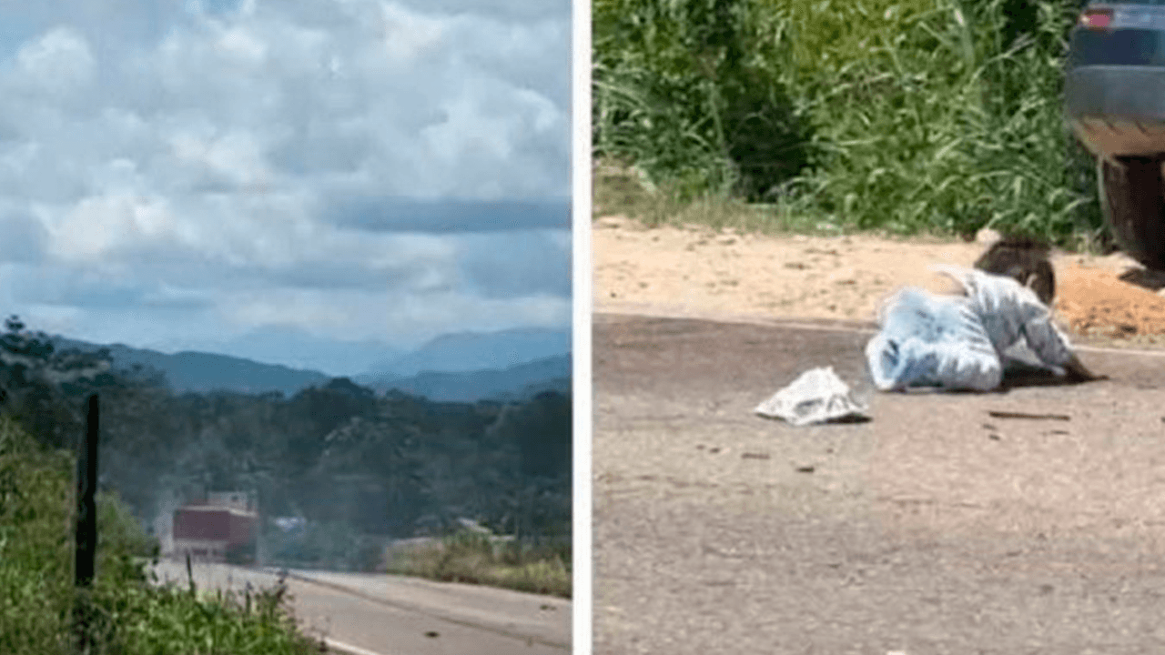 Milagro en el trópico: bebé sobrevive a triple colisión en la que murió su madre