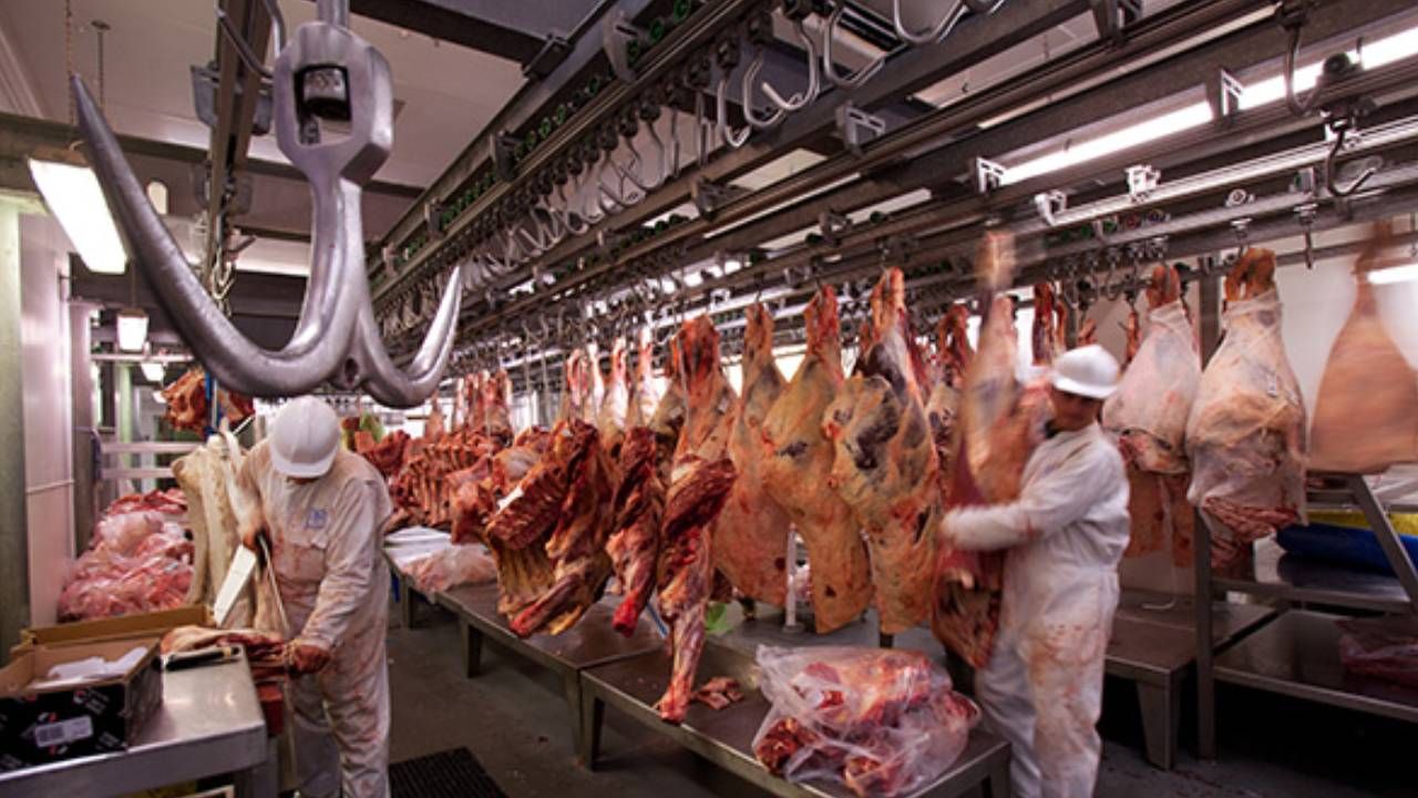 Futecra El Alto cree que kilo gancho de carne bajará entre Bs 2 y 3 por la suspensión de exportación
