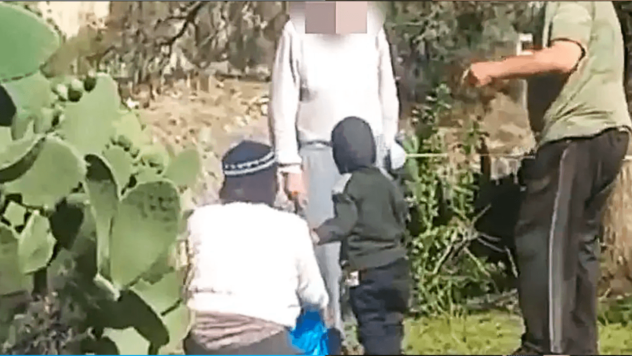 Sentencian a tres años de cárcel a hombre por agredir a una mujer que recogía tunas en la vía pública 
