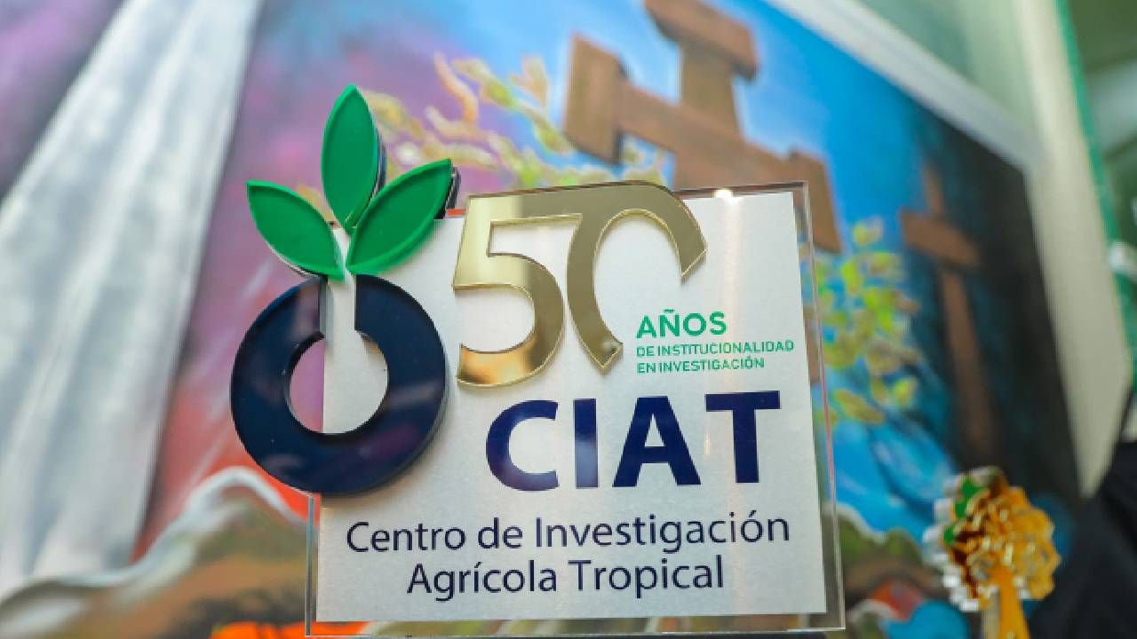 CIAT celebra 50 años de innovación y libera la variedad de arroz ‘Santa Cruz 200 Años’