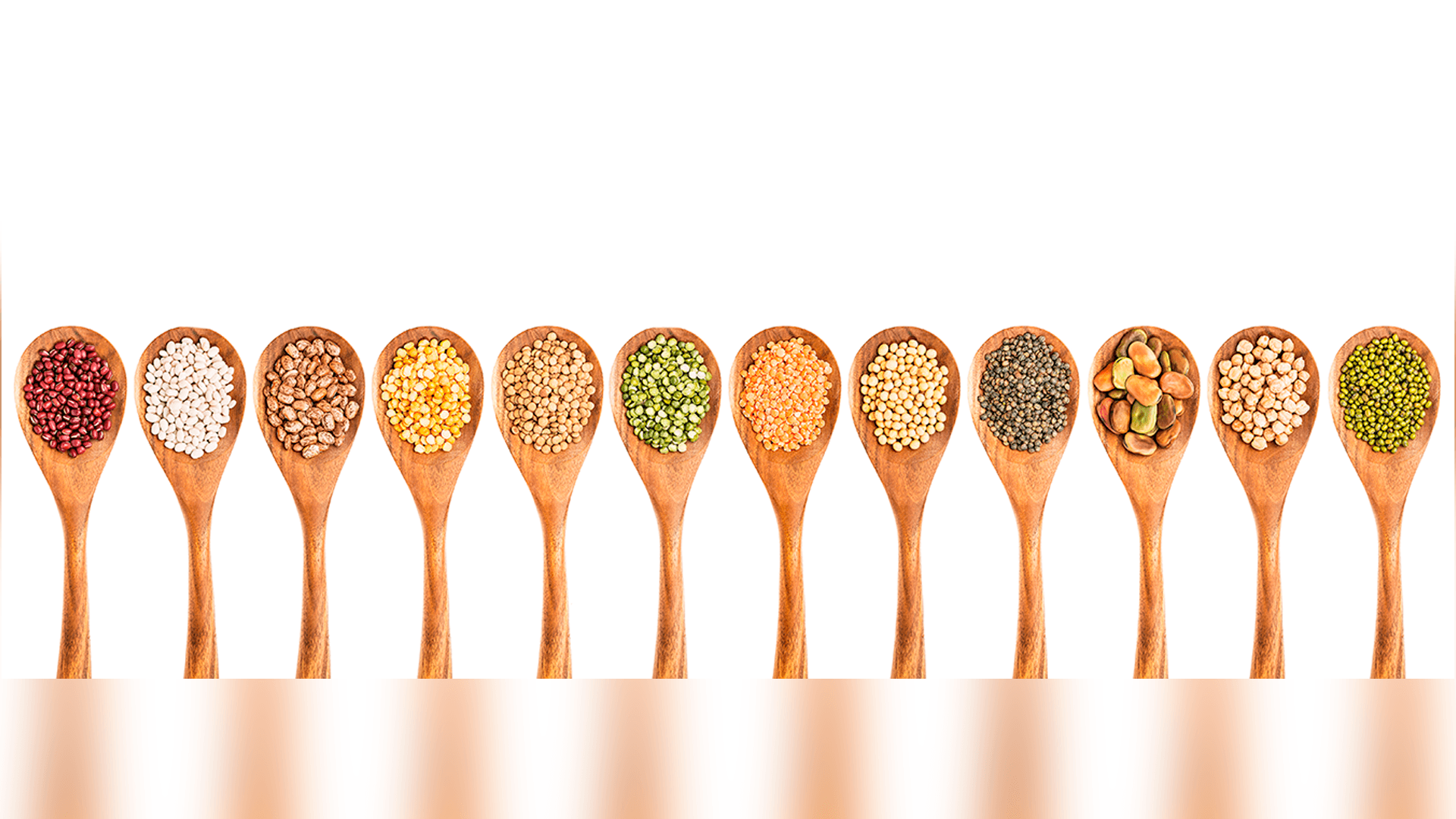 Legumbres: clave para la alimentación sostenible