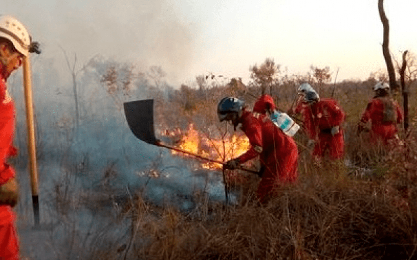 Expertos franceses y Procuraduría analizan impacto de incendios forestales