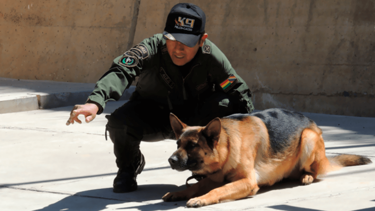 Cárcel para el jefe de canes del aeropuerto por el caso ‘narcovuelo’