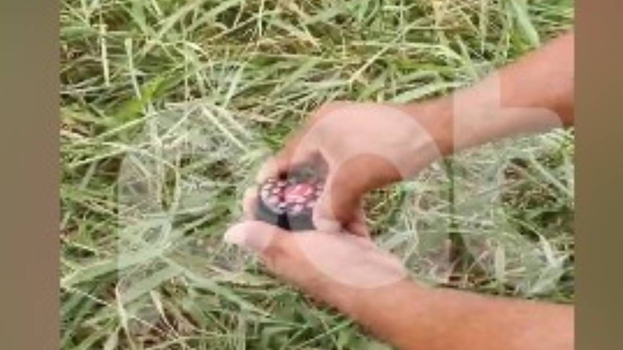 Hallan marihuana en parque infantil y vecinos denuncian refugio de delincuentes