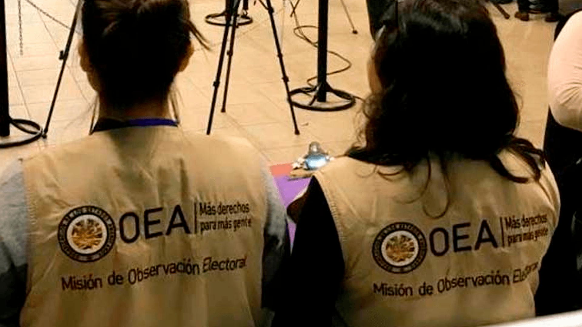 Hassenteufel cuestiona coherencia de la OEA en relación al padrón electoral y proceso de 2019