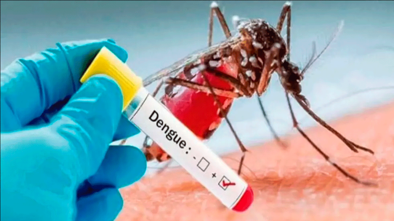 Reportan los primeros cuatro casos autóctonos de dengue en Cochabamba