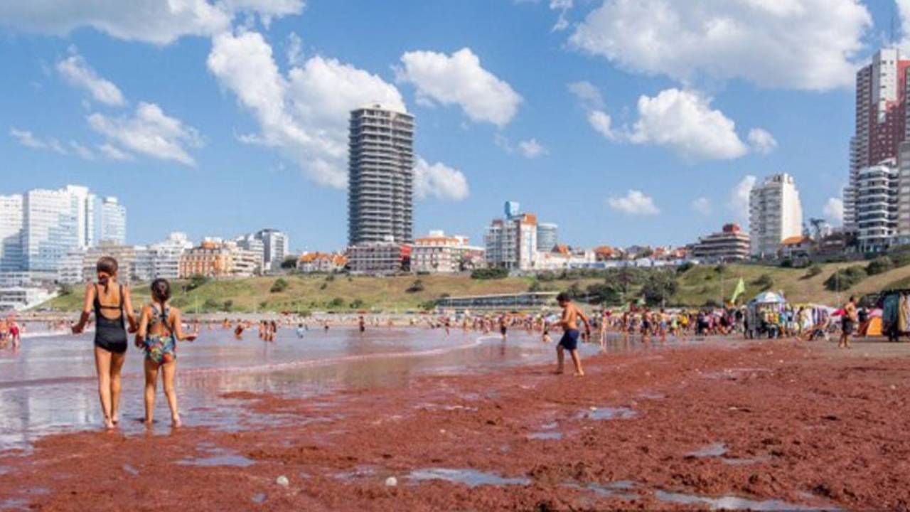 Algas tiñen de rojo turísticas playas de Mar del Plata en Argentina