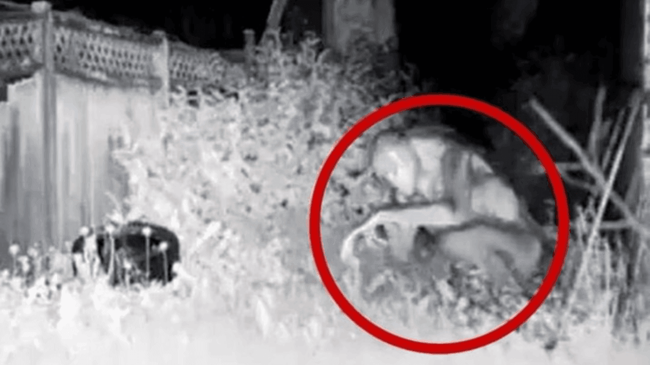 Las Vegas; Policía capta “OVNI” y familia reporta "aliens" en su casa