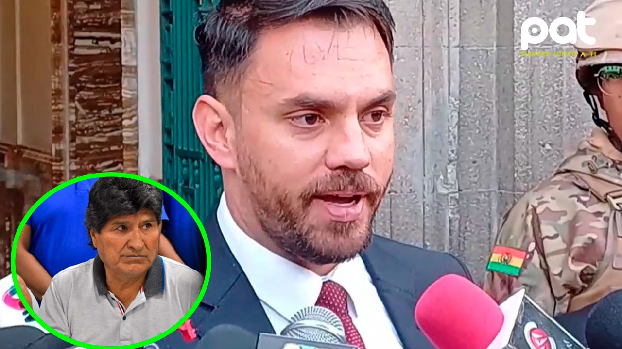 Del Castillo califica de "tremendo favor" la renuncia de Evo Morales al mas y espera más deserciones