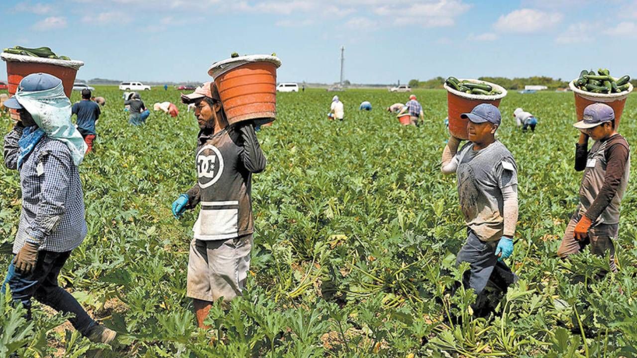 Agricultores y productores de Concepción anuncian bloqueo indefinido por falta de combustible