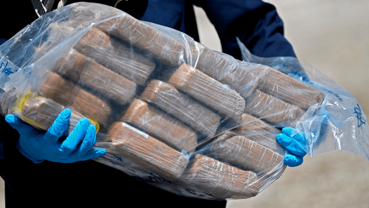 Narcovuelo: Felcn identificó el sello de conejito de Playboy en la cocaína