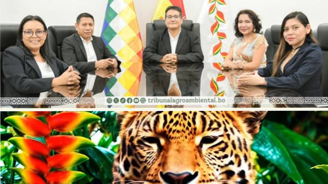 Tribunal Agroambiental admite por primera vez acción ambiental 