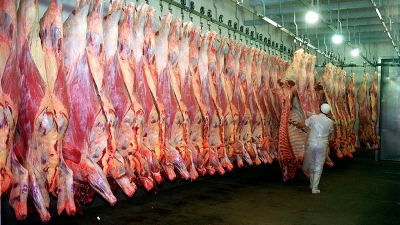 Gobierno señala a ganaderos por alza en el precio de la carne y mantiene restricción a exportaciones