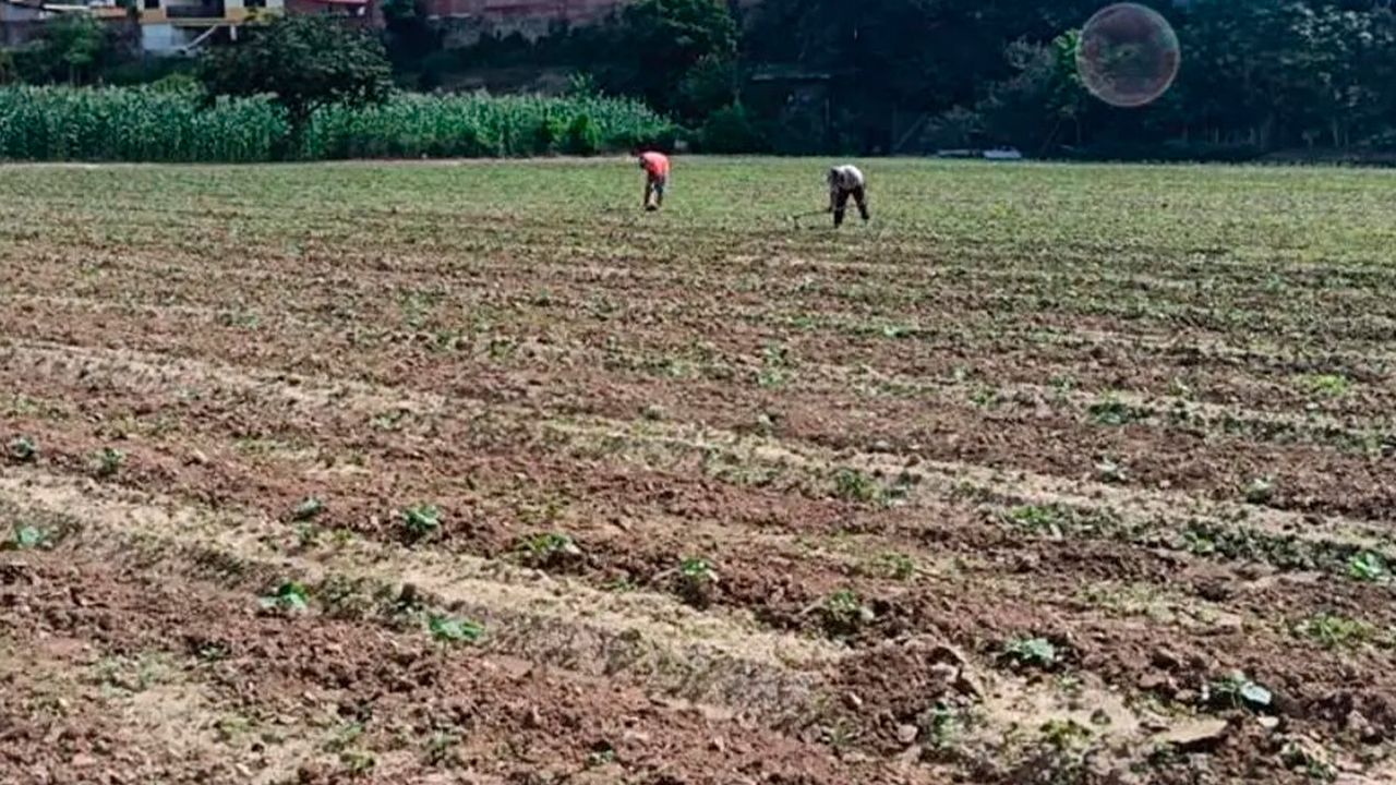 Agricultores de los valles cruceños en crisis por falta de combustible