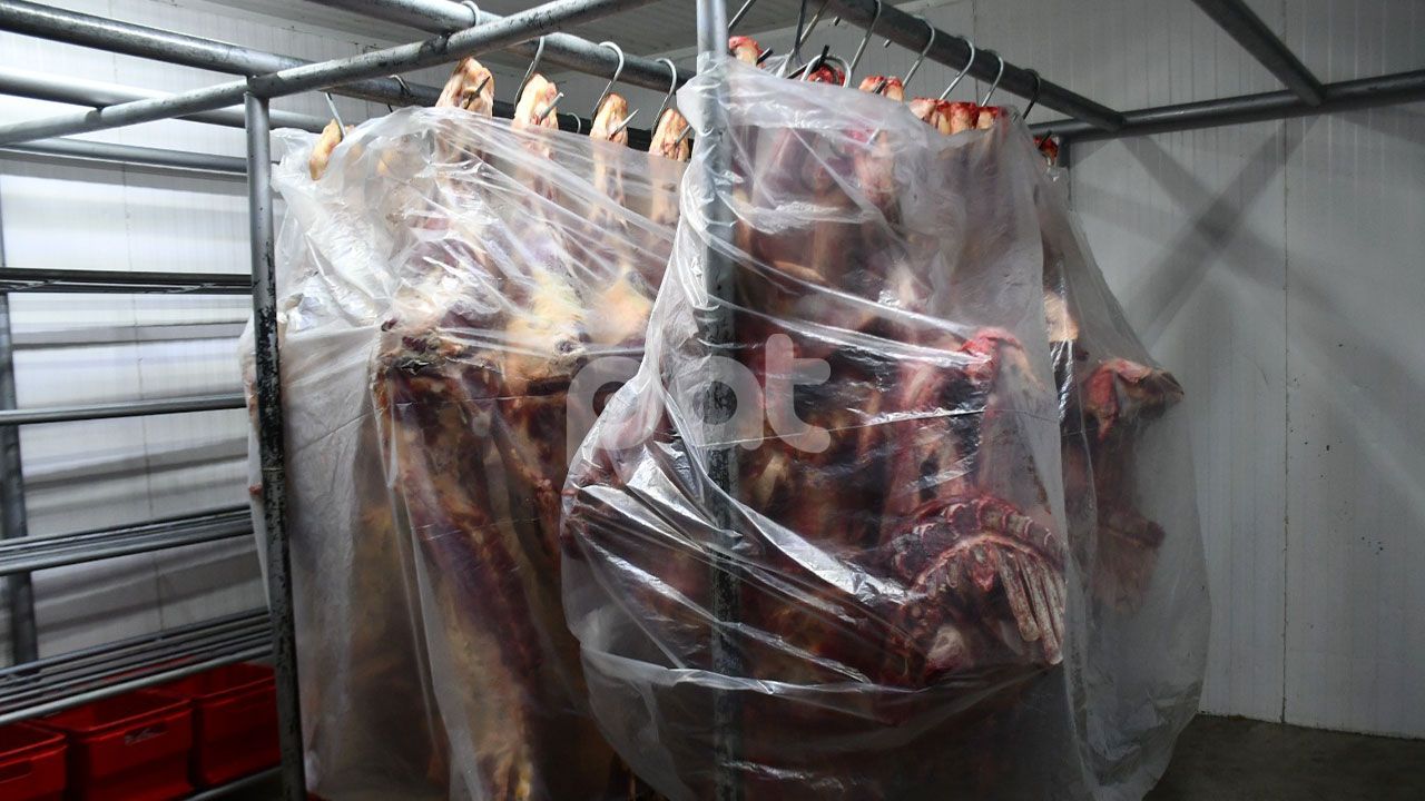 Baja el precio de la carne de res de Bs40 a Bs34,5 el kilo gancho en La Paz y El Alto  