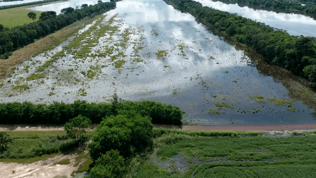 Desborde del río Grande y falta de diésel afectan 30.000 hectáreas de cultivos en el norte cruceño