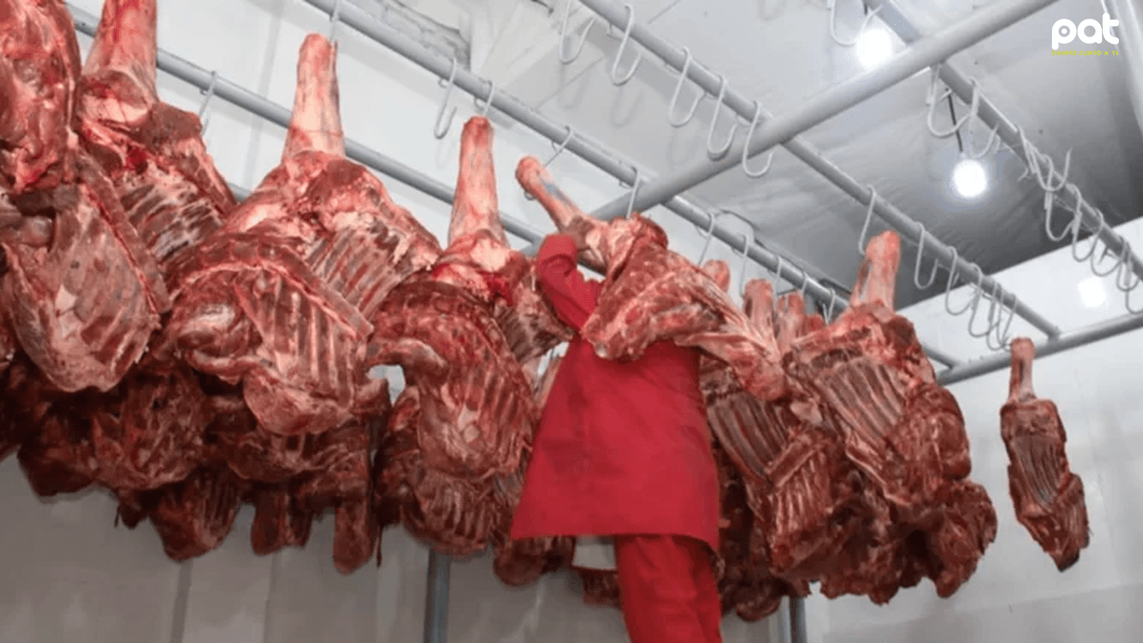 Gobierno avanza en exportación de carne y lácteos a Egipto y Chile