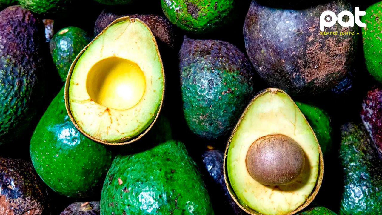 10 beneficios del aguacate para la salud