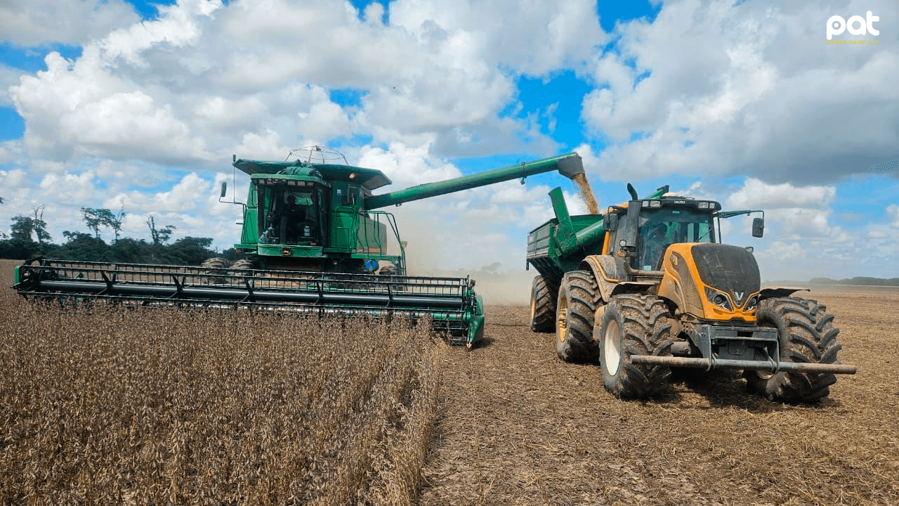 Anapo proyecta recuperación con 2,3 millones de toneladas de soya pese a lluvias
