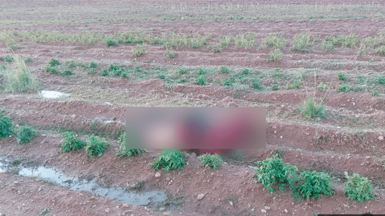 Mujer muere alcanzada por un rayo mientras cosechaba papa en Potosí