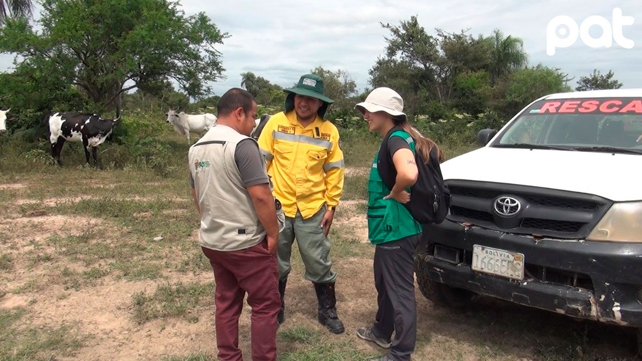 Gobernación de Santa Cruz realiza rastrillaje tras denuncia de avistamiento de jaguares en Porongo
