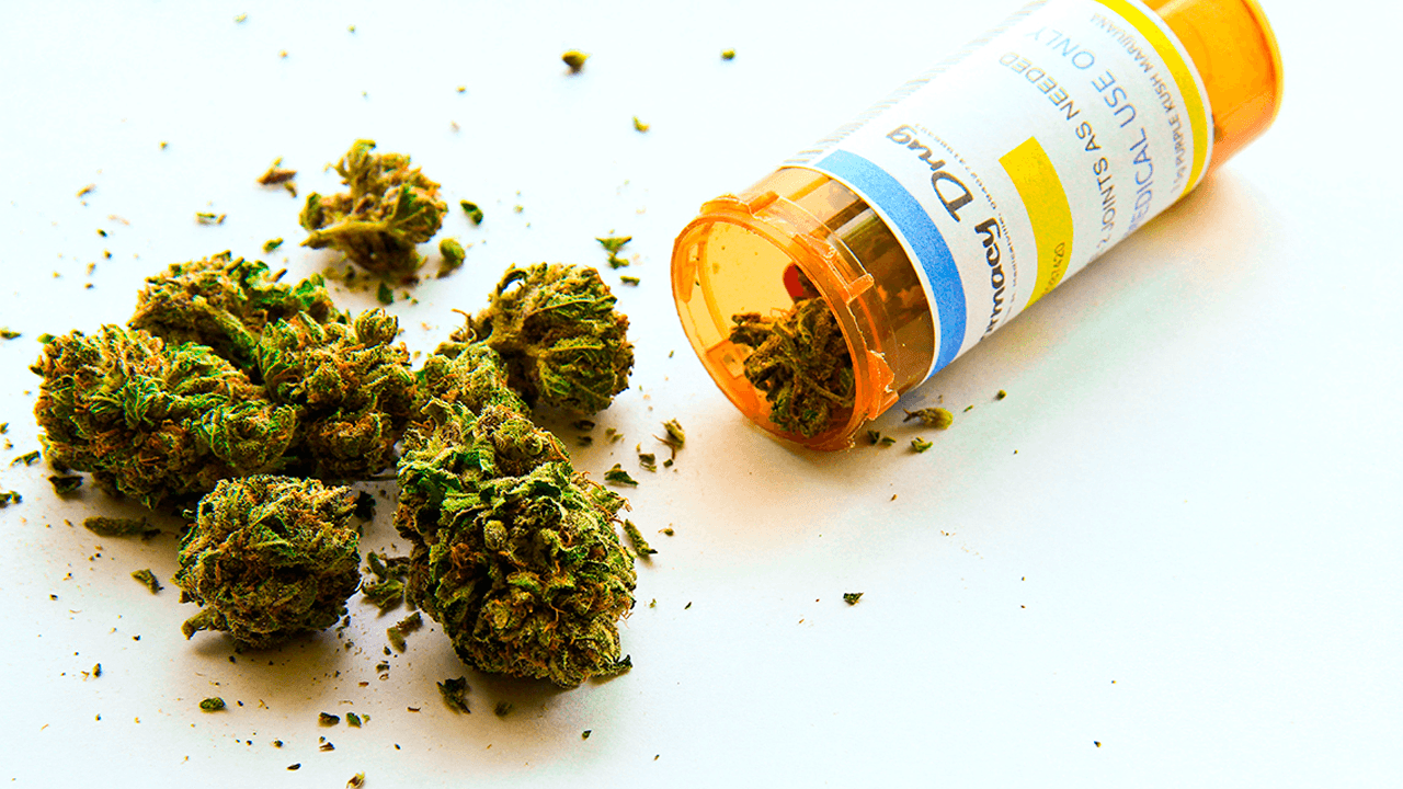 Se presenta un proyecto para legalizar la marihuana medicinal