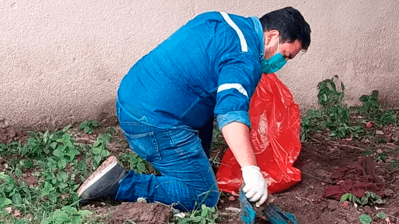 Liberan al acusado de biocidio en Santa Cruz mientras sigue la investigación