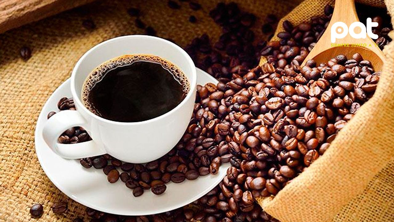 ¿Es seguro que los niños tomen café? expertos responden
