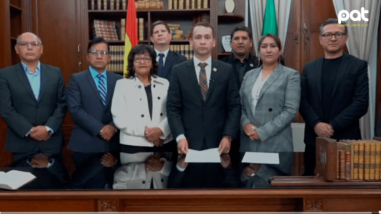 TSJ garantiza protección de la democracia y elecciones de agosto