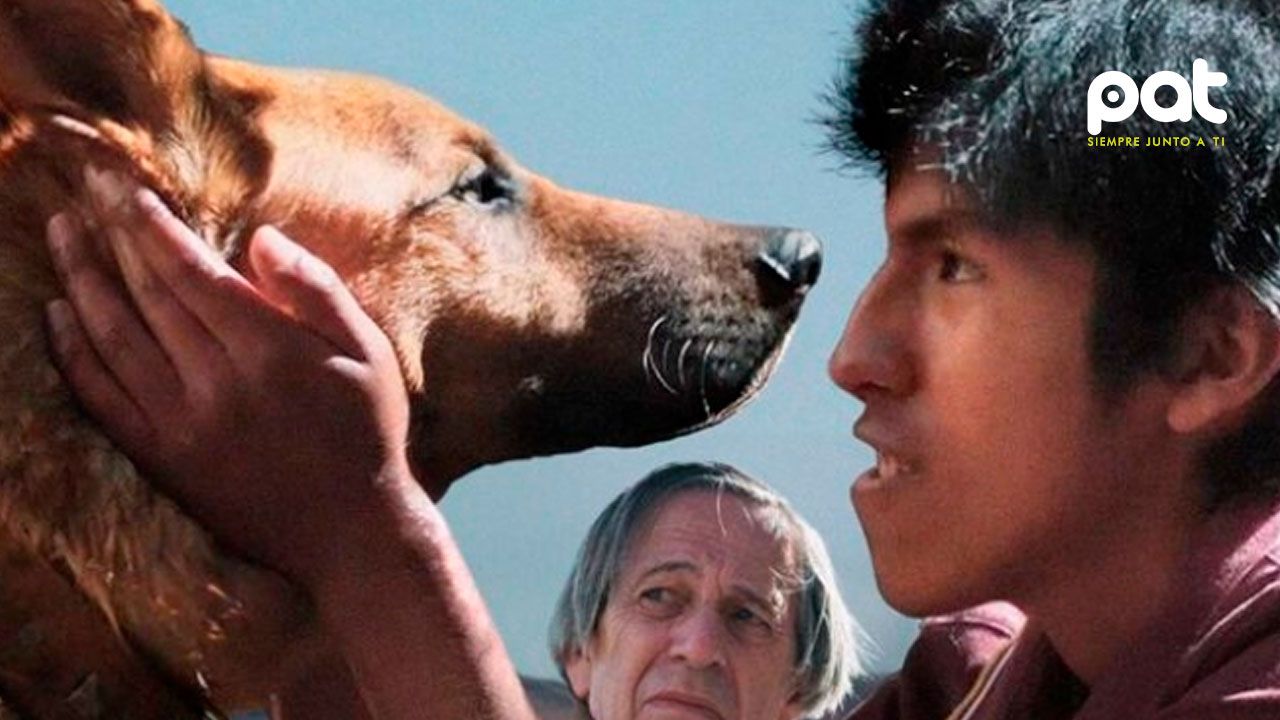 "El ladrón de perros" recibe premio internacional y pone en alto al cine boliviano