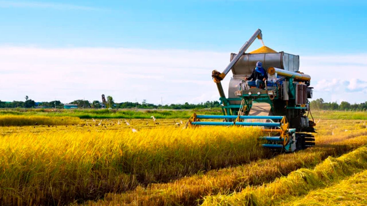Gobierno extiende el arancel "cero" para la importación de arroz hasta octubre