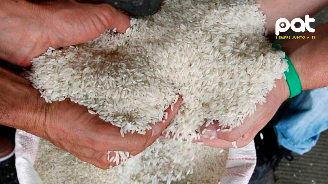 Gobierno amplía hasta octubre el arancel cero para la importación de arroz