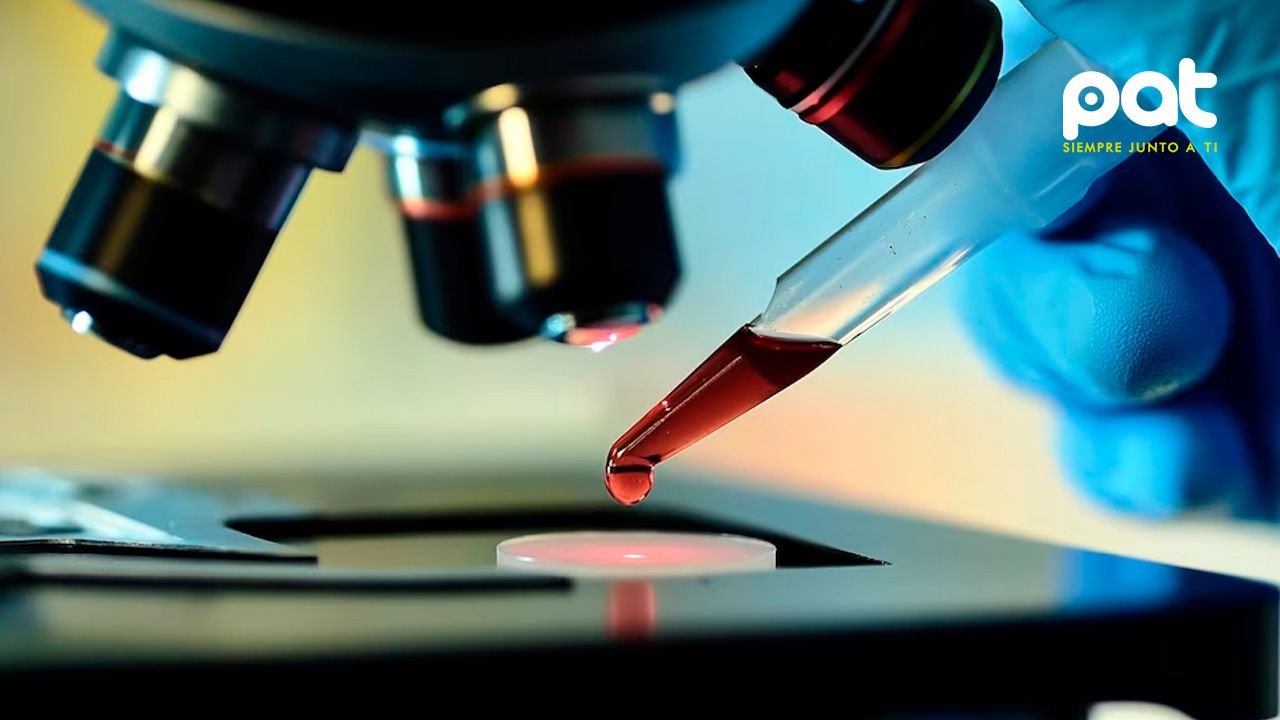 Más de 500 millones de mujeres padecen anemia en edad fértil, advierte la OMS