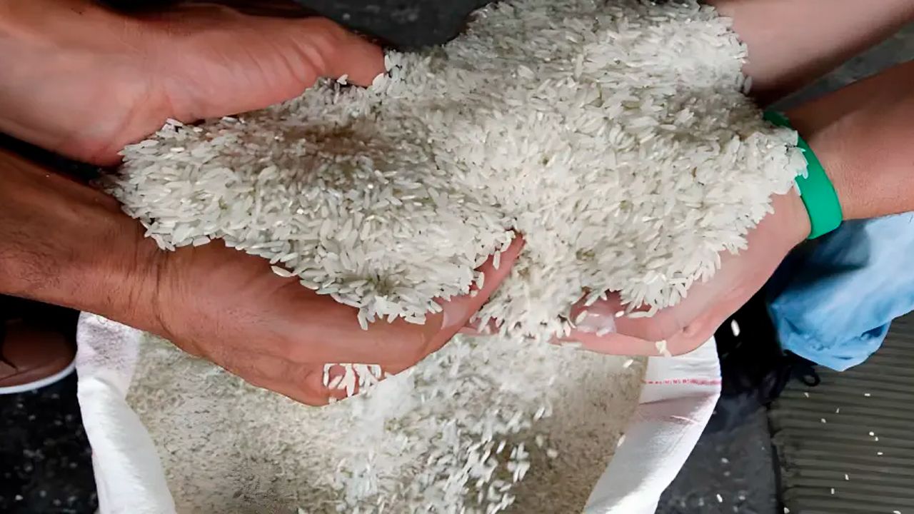 Productores ven inviable importar arroz por falta de dólares y problemas logísticos